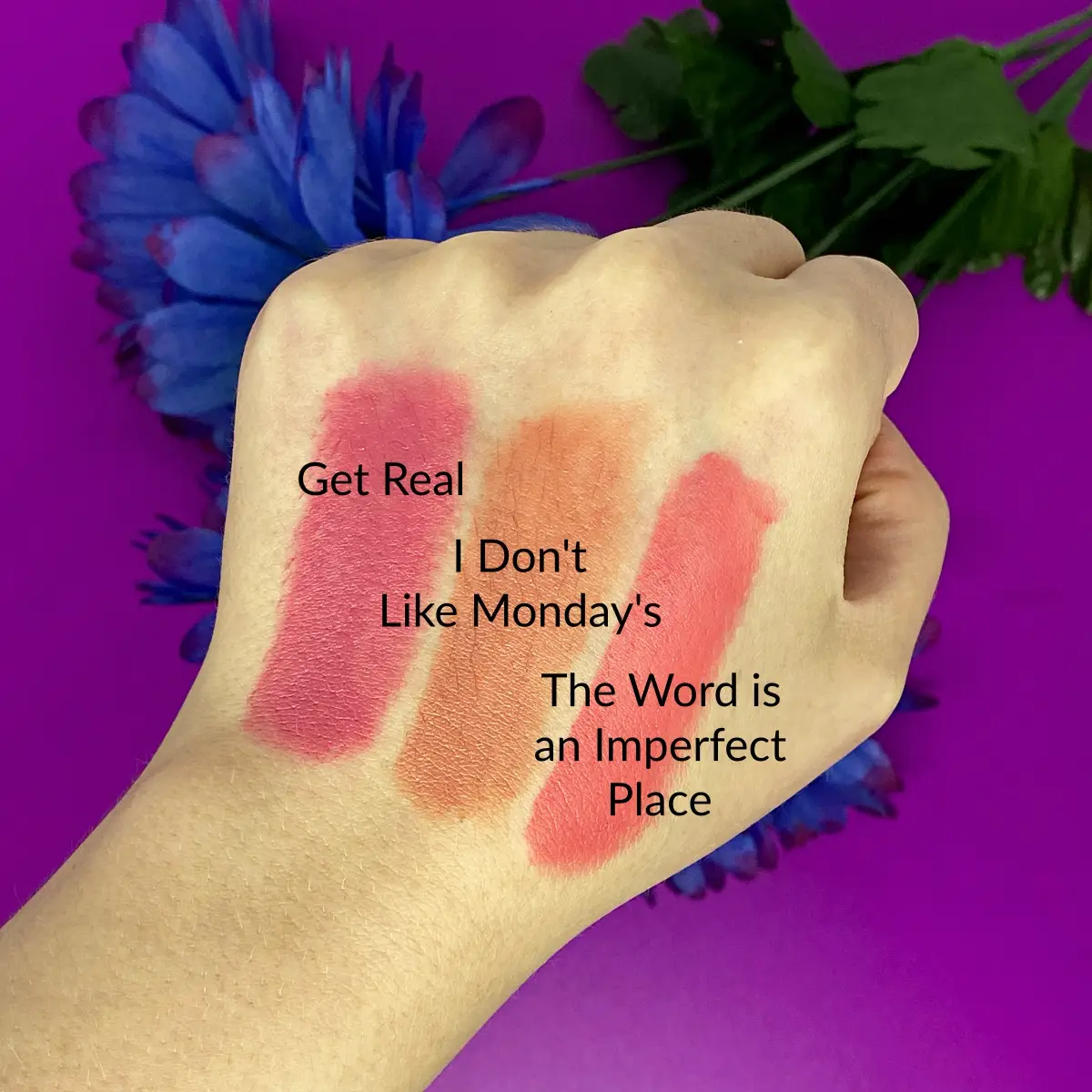 Physicians Formula The Breakfast Club The Princess Lipstick swatches