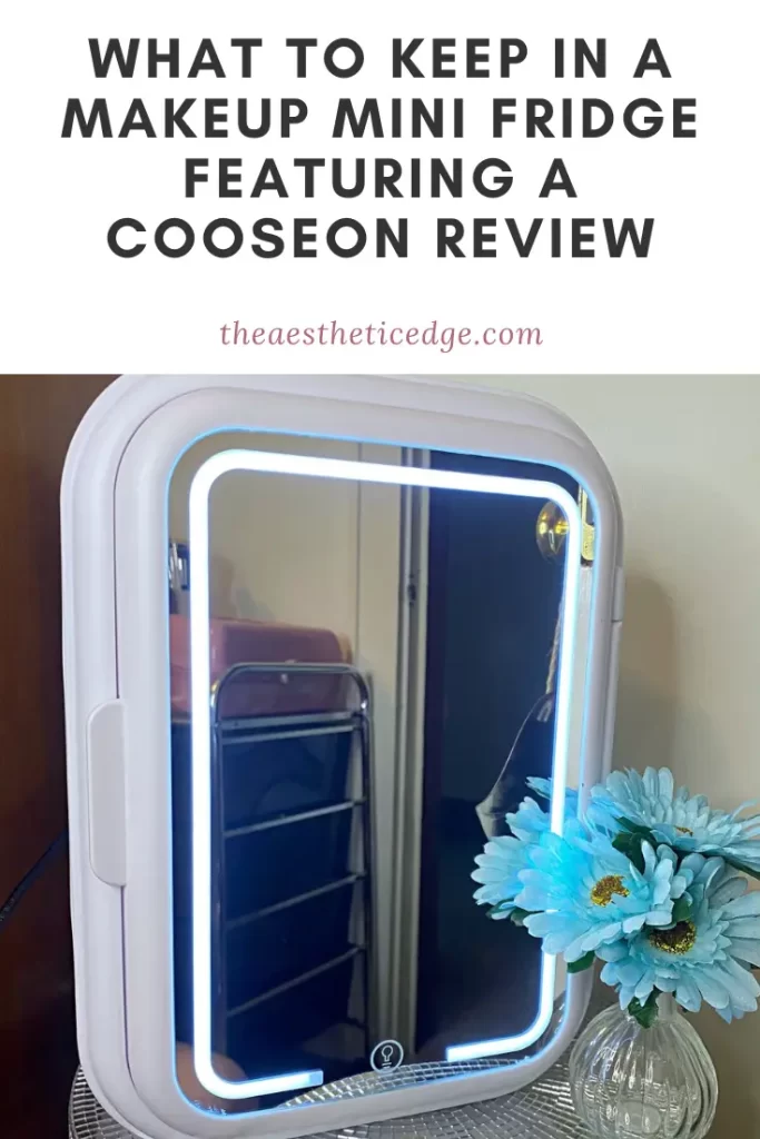 What To Keep In A Makeup Mini Fridge Featuring A Cooseon Review