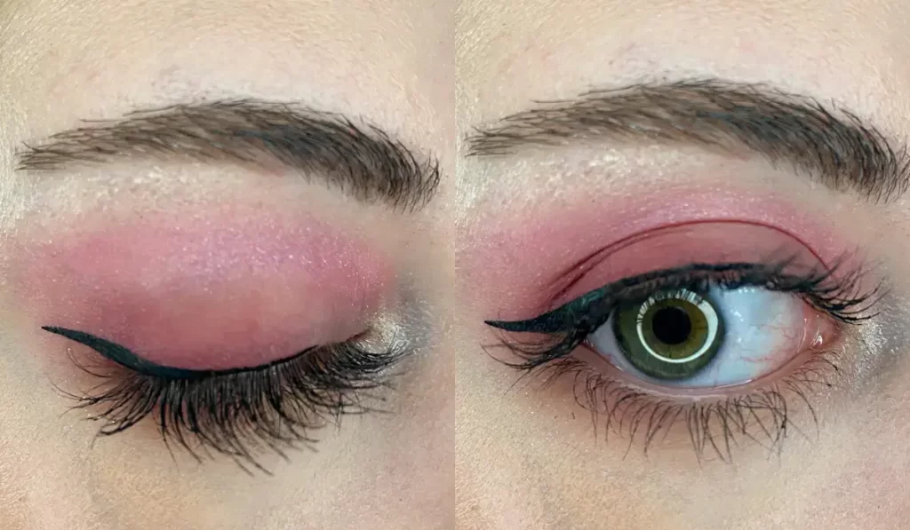 wearing wet n wild Pampered Palette for Eye & Face