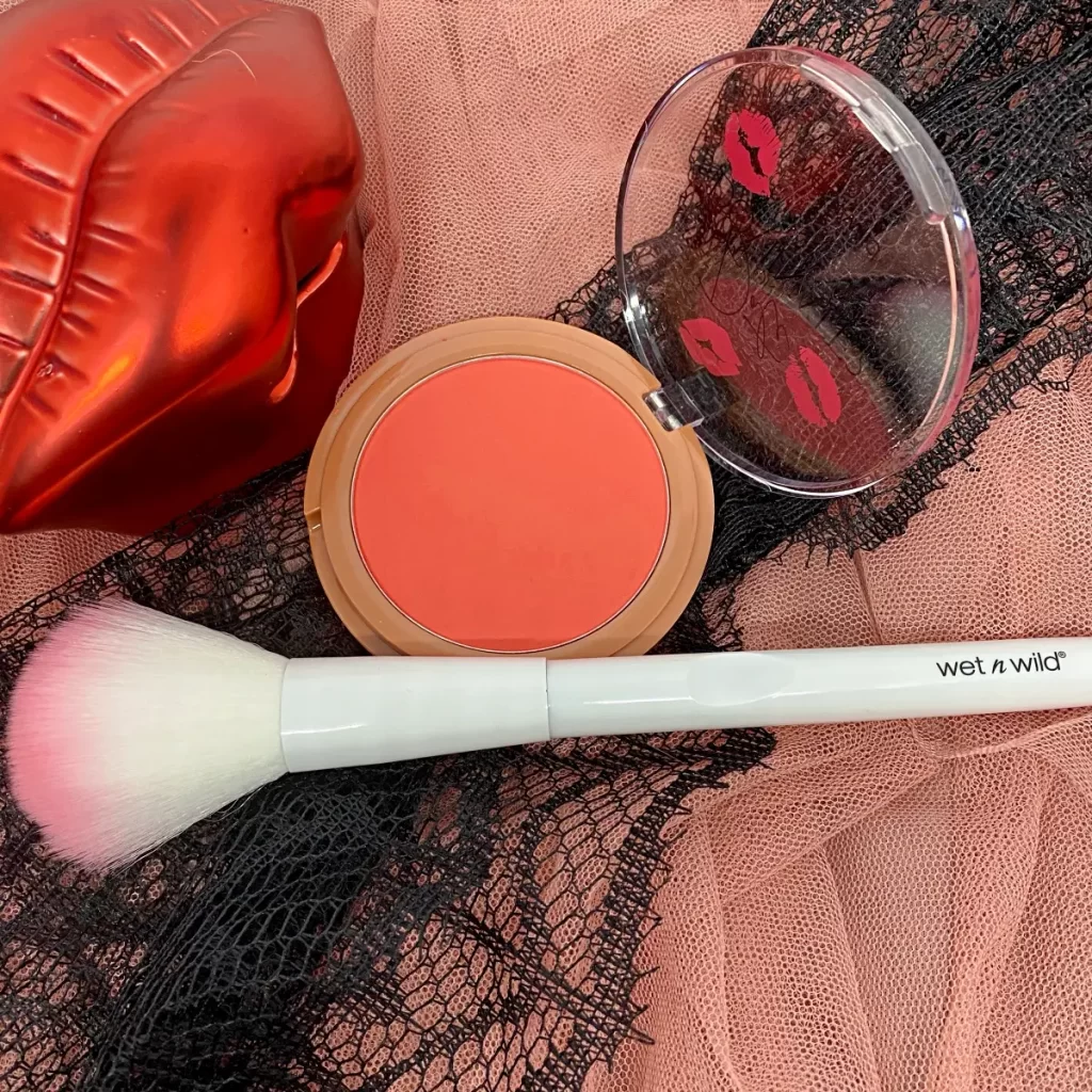 wet n wild date or dominate blush and brush set